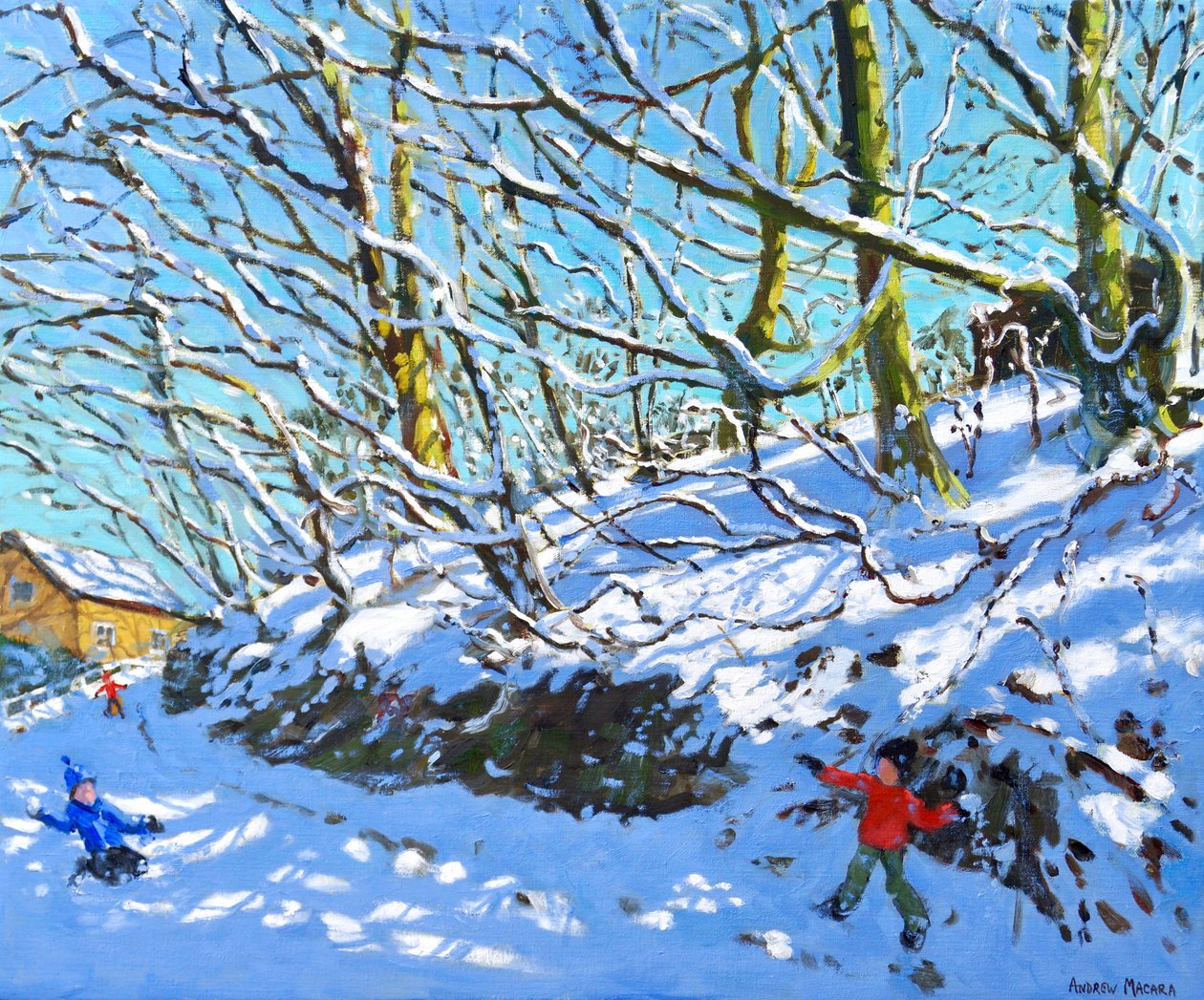 Lanzamiento de Bolas de Nieve, Upper Hulme, Staffordshire de Andrew Macara