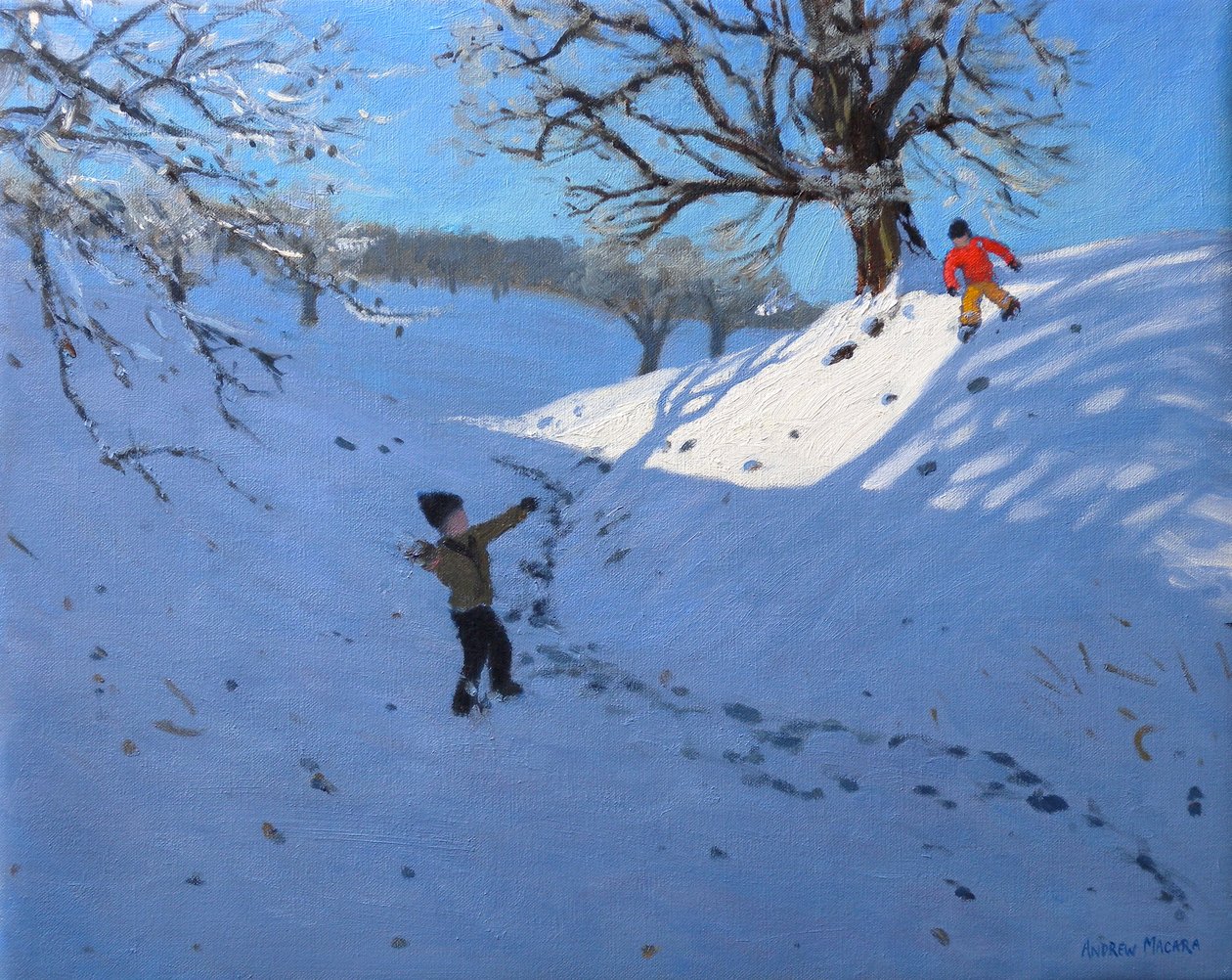 Bola de nieve, 2011 (óleo sobre lienzo) de Andrew Macara