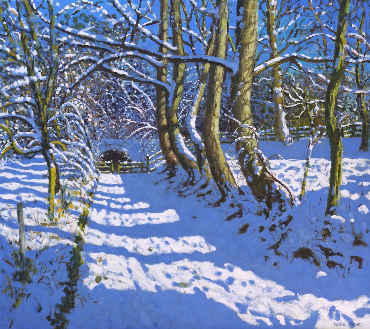 El túnel, Calke Abbey, Ticknall, Derby de Andrew Macara