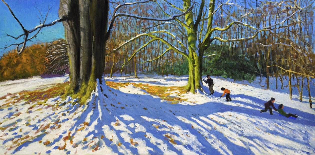 Top of Allestree Park, 2014 (óleo sobre lienzo) de Andrew Macara