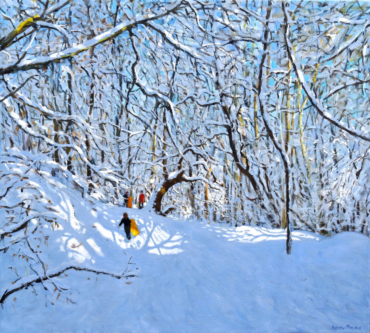 Trineos Amarillos y Naranjas, Parque Allestree, Derby de Andrew Macara
