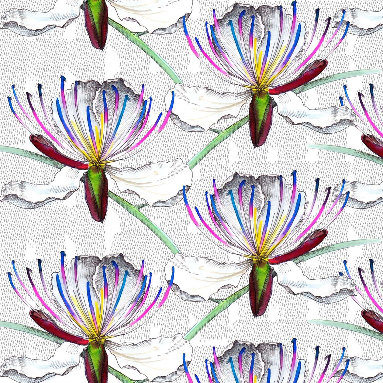 Flores de alcaparra de Andrew Watson