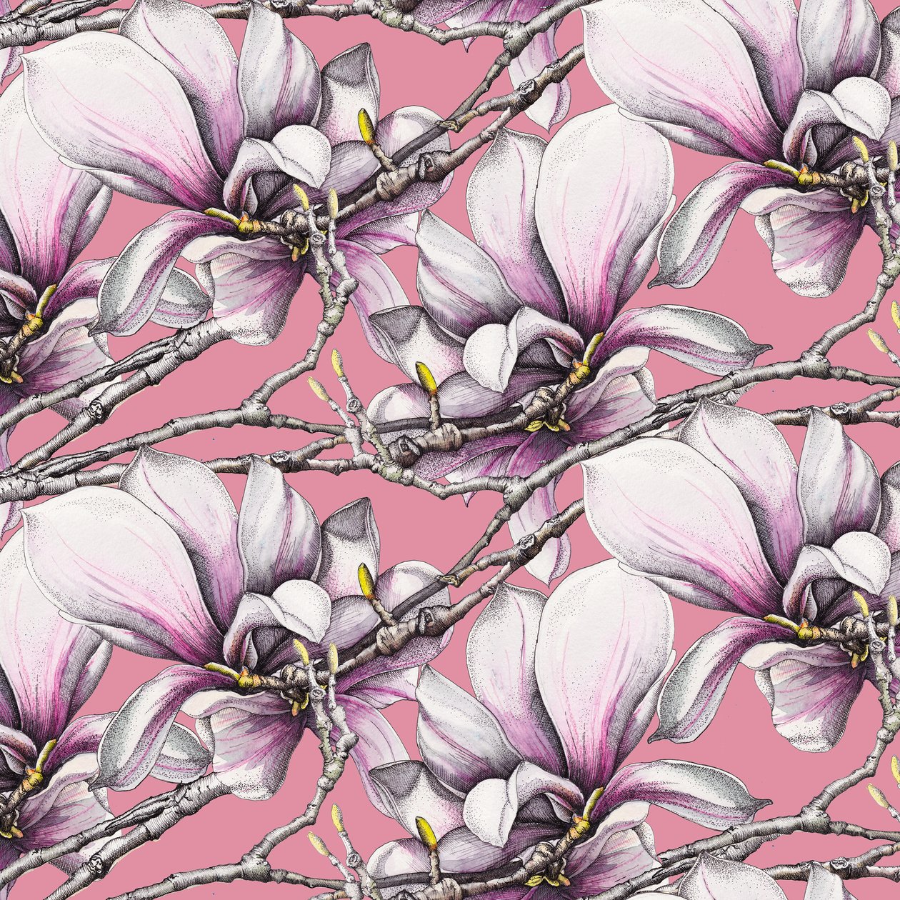 Magnolia, 2019 de Andrew Watson