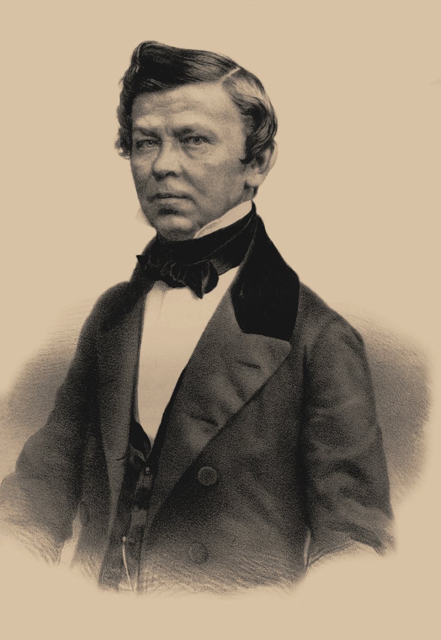 Retrato del poeta Vladimir Grigoryevich Benediktov 1807-1873, 1870 de Andrey Mikhaylovich Lushev