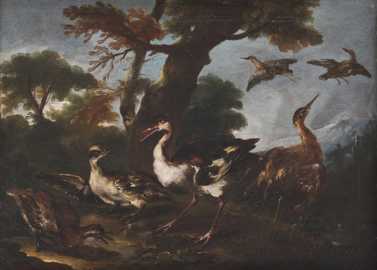 Paisaje con pájaros de Angelo Maria Crivelli