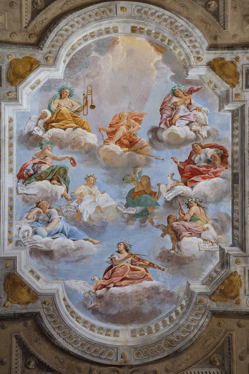 Techo de la sala con los Cuarteles de Bolonia, Sala de la Guardia, Palacio Ducal Este, Sassuolo, Italia de Angelo Michele Colonna