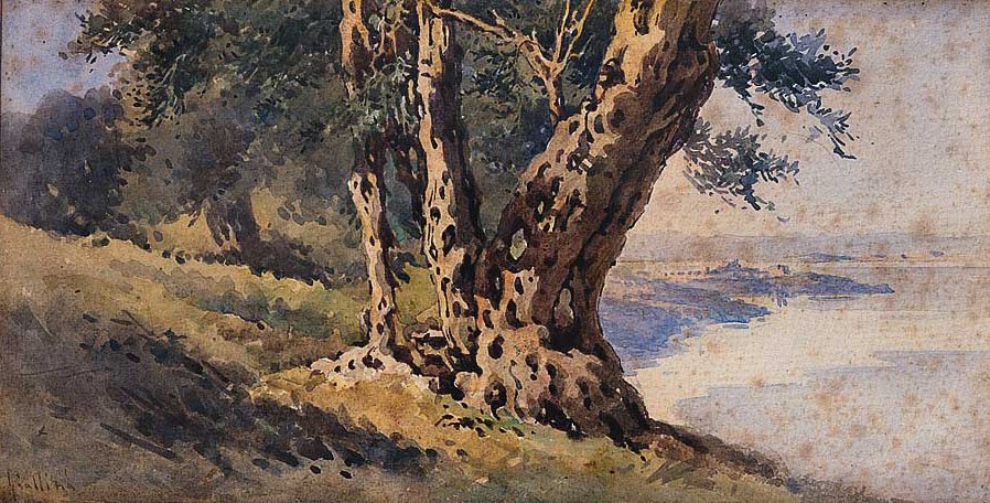 Paisaje de Angelos Giallinas