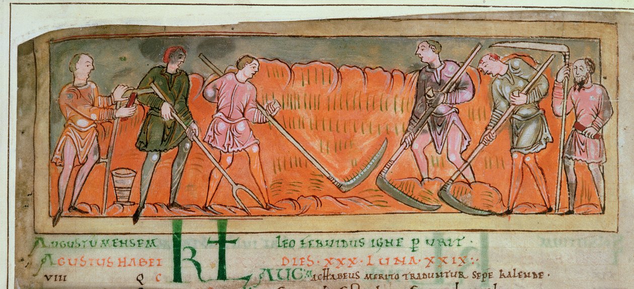 Cott Tib B V f.6v Cosecha, de un calendario, c.1030 (vitela) (detalle de 41681) de Anglo Saxon