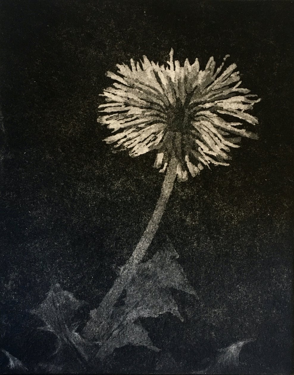 Esperanza, 2019 (aguafuerte y aguatinta sobre papel) de angus hampel
