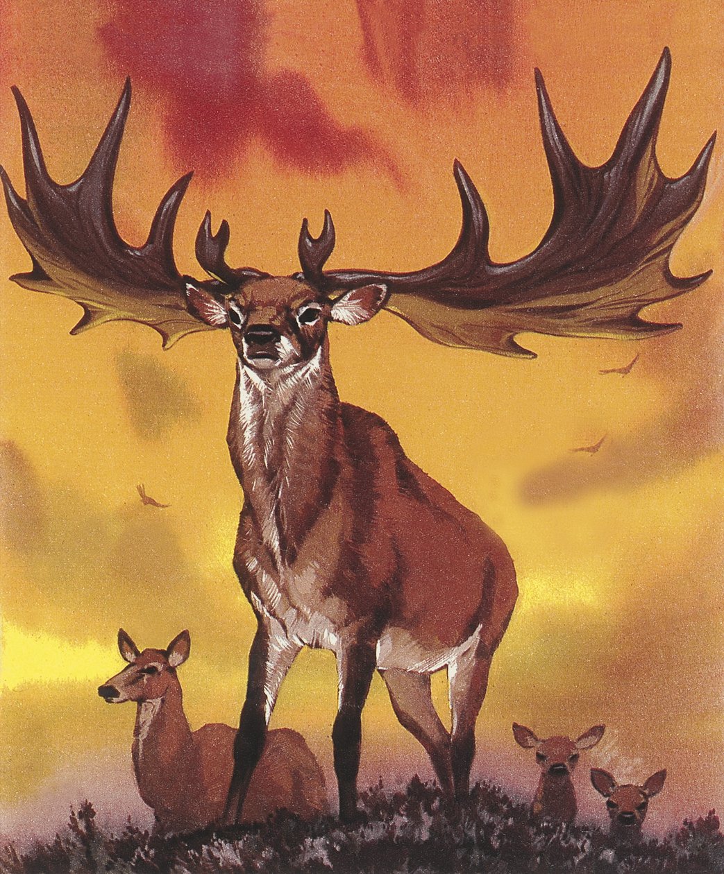 Gigante cada uno de Angus McBride