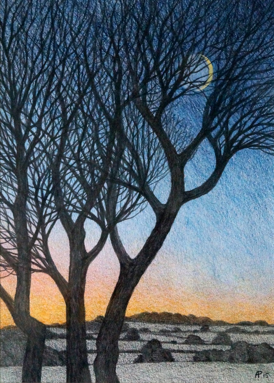 Árboles y Luna de Anna Phillips