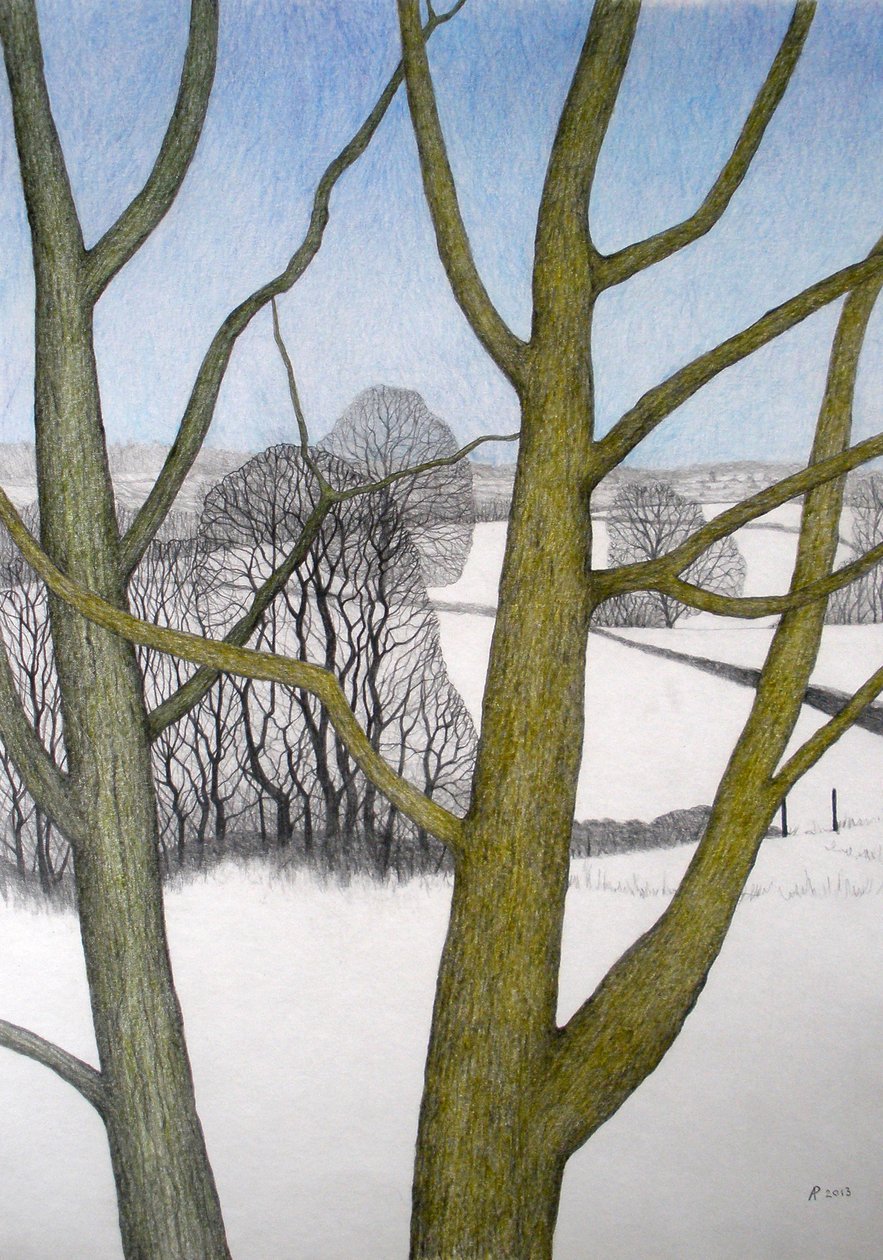 Día de invierno, 2013 de Anna Phillips