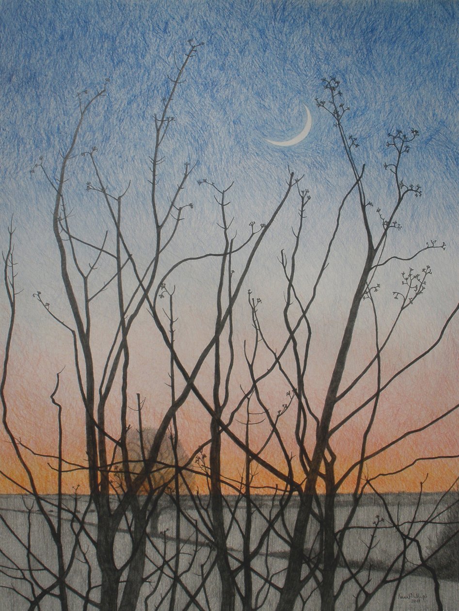 Desde mi Ventana, 2011 de Anna Phillips