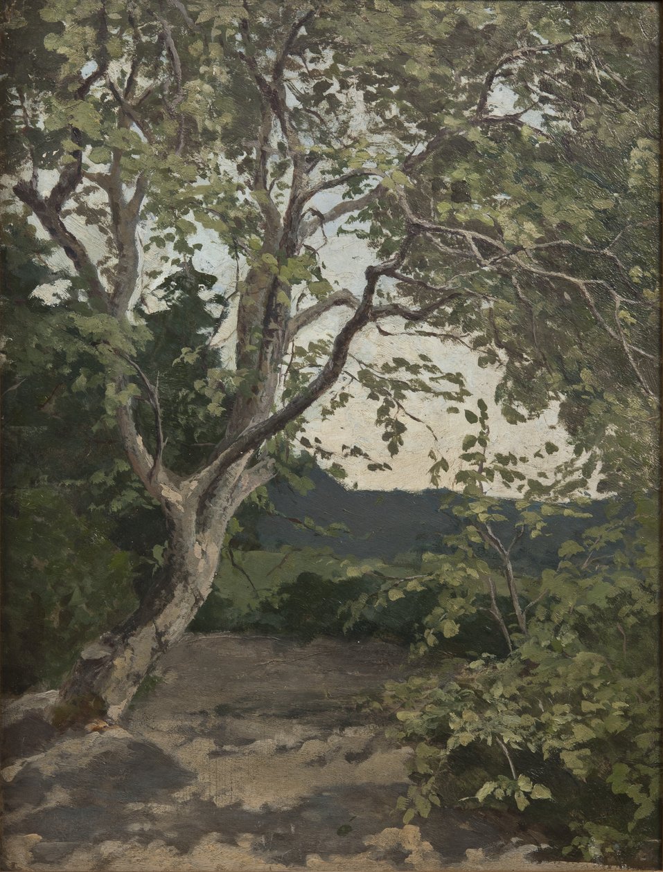 Estudio de un Árbol de Anna Nordlander