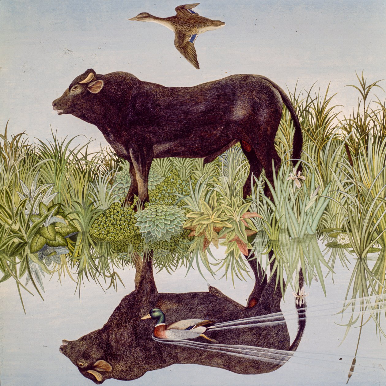 Reflexionando, 2004 (acrílico) de Anna Pugh