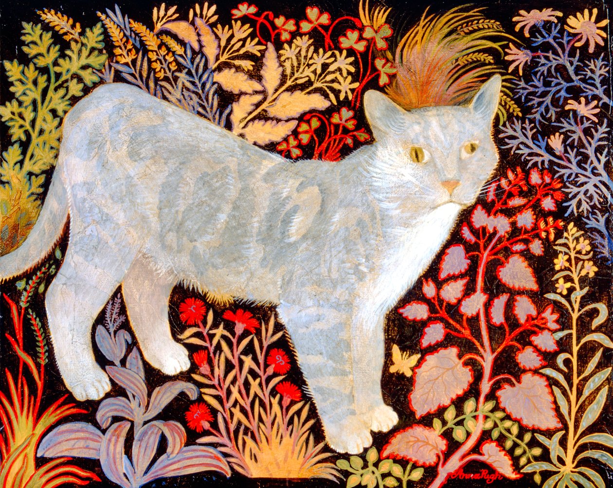 Atigrado plateado de Anna Pugh