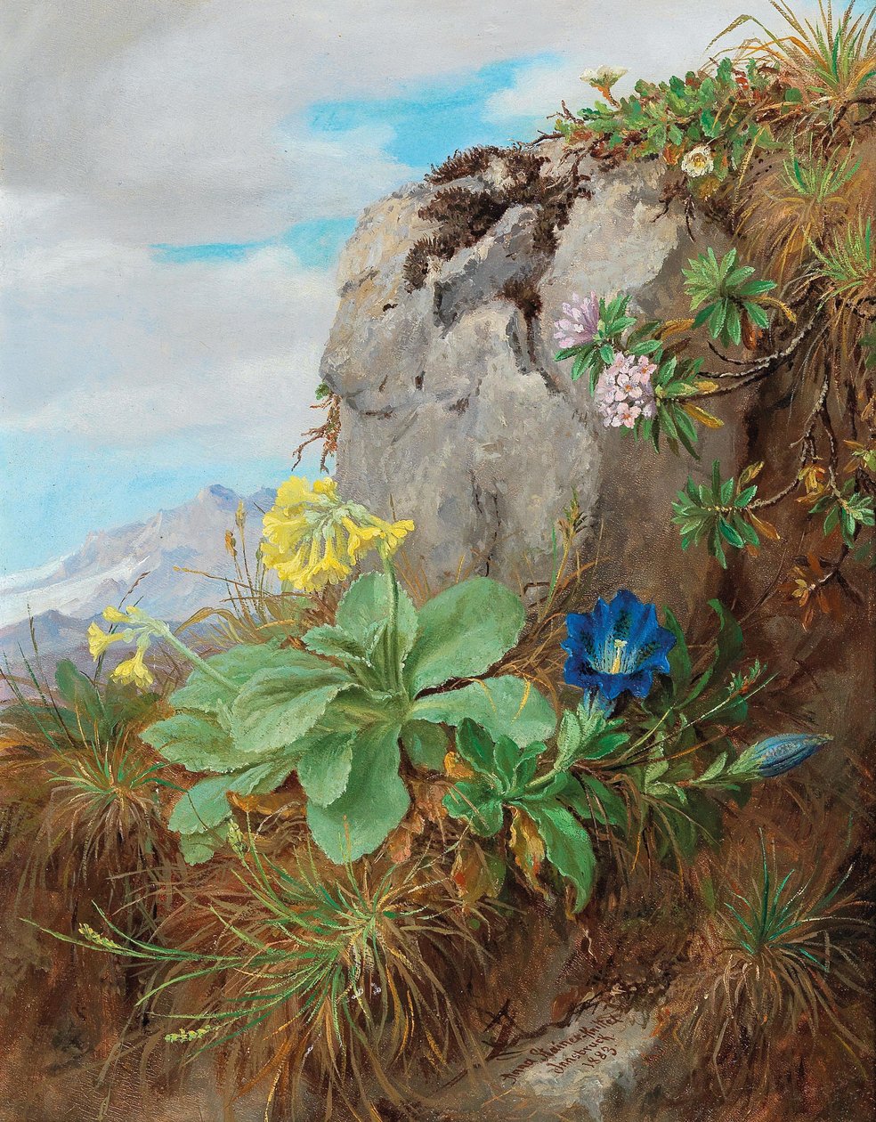 Flores alpinas de Anna Stainer Knittel