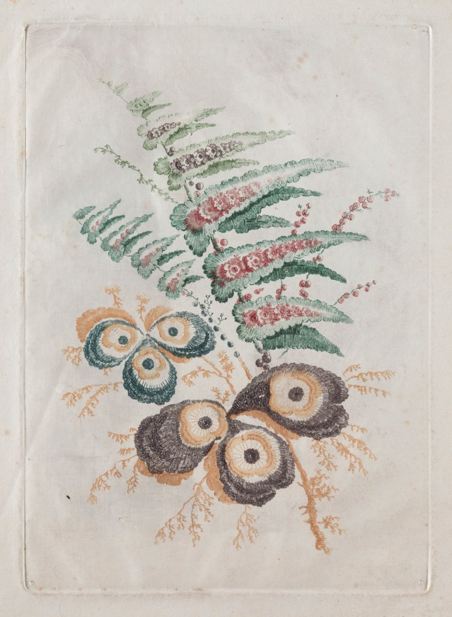 Nueva suite de portafolios de flores ideal para diseñar y pintar: Fantasías florales, c. 179 de Anne Allen