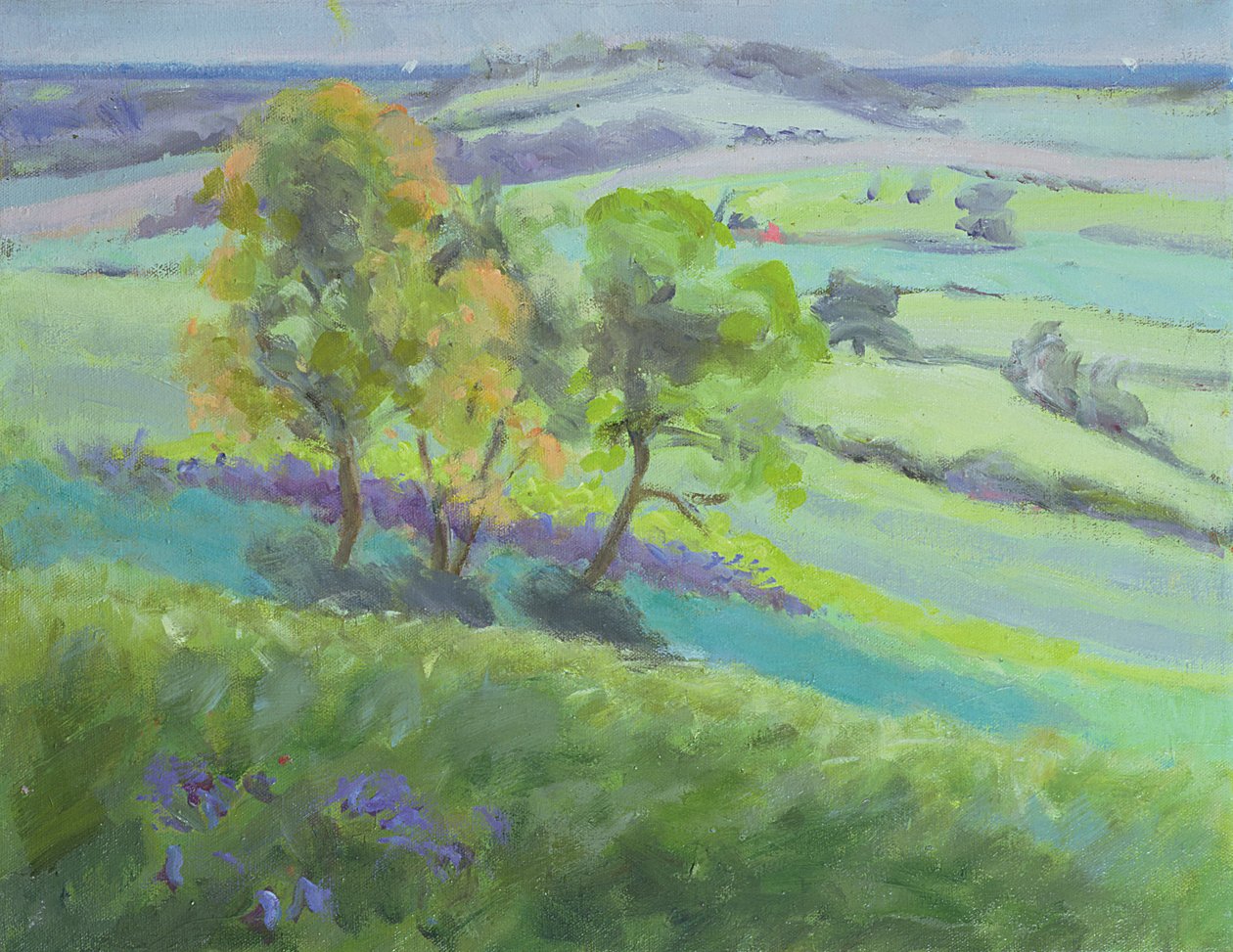 Hacia Winchelsea, Sussex, con campanillas azules en primavera de Anne Durham