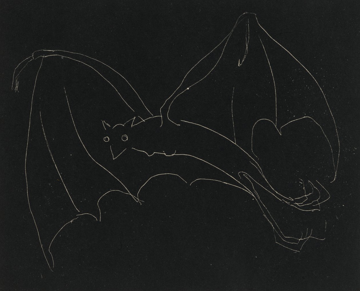Serie Nocturna: El Murciélago de Anne Goldthwaite