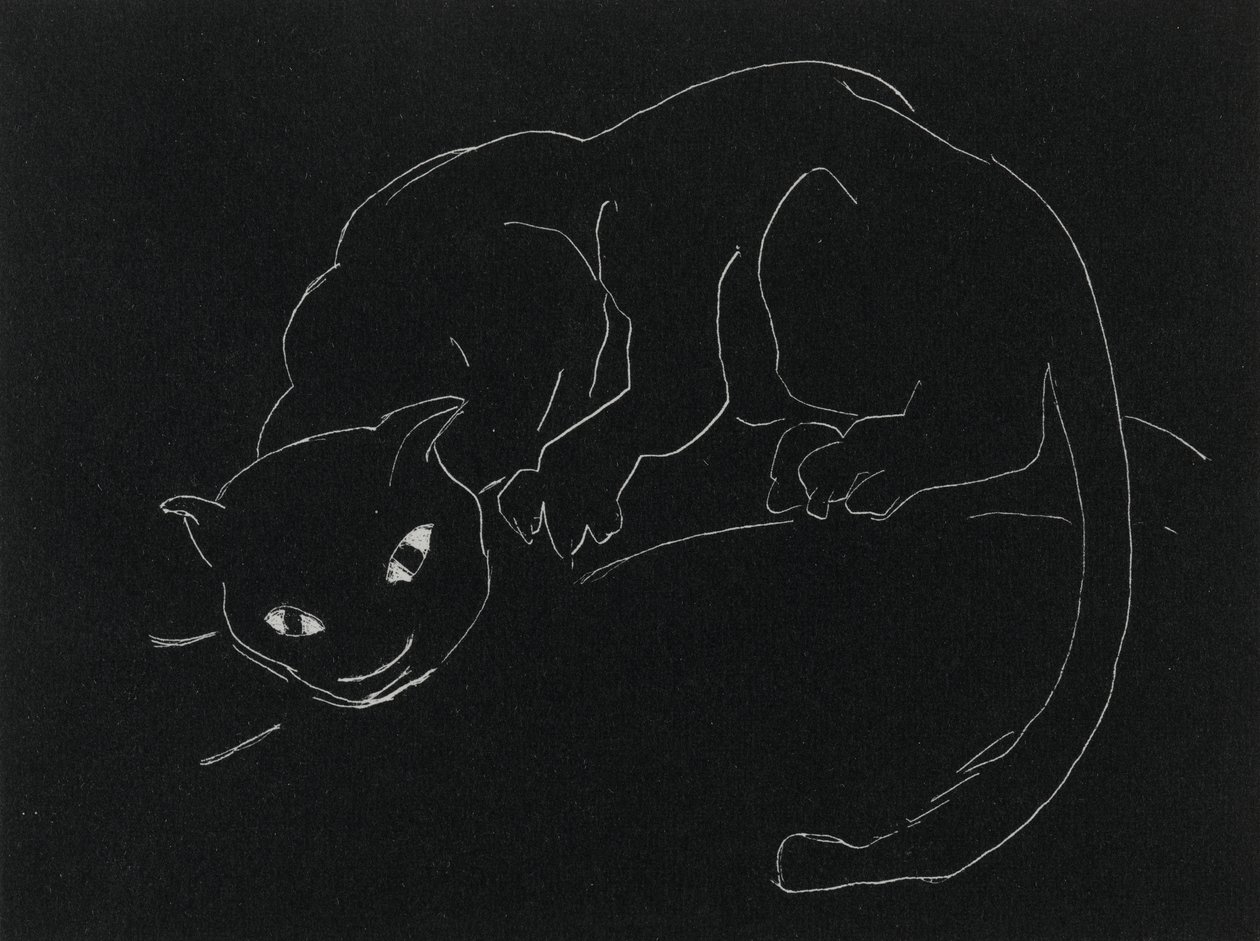 Serie Nocturna: El Gato de Anne Goldthwaite