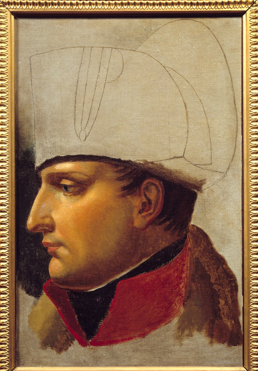 Retrato de Napoleón I (1769-1821) estudio para la entrega de llaves de la ciudad de Viena el 13 de noviembre de Anne Louis Girodet de Roucy Trioson