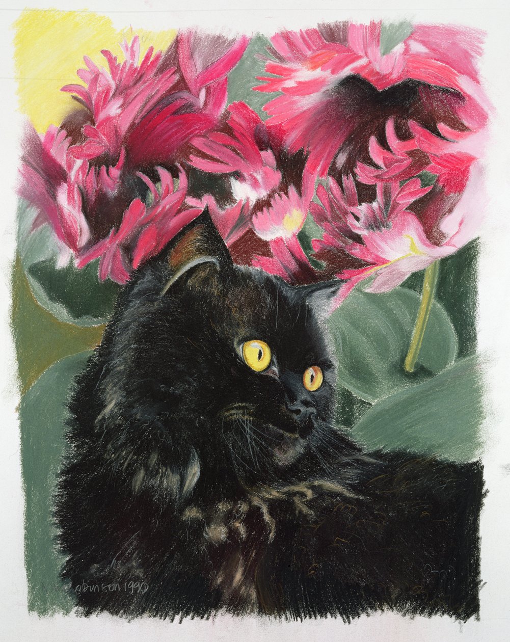 Tulipanes negros de Anne Robinson
