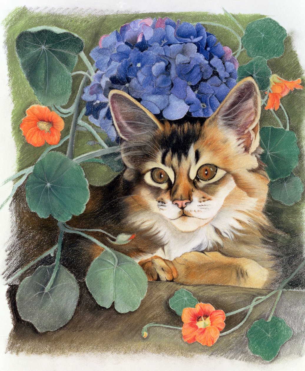 Sootsy con Hortensia de Anne Robinson
