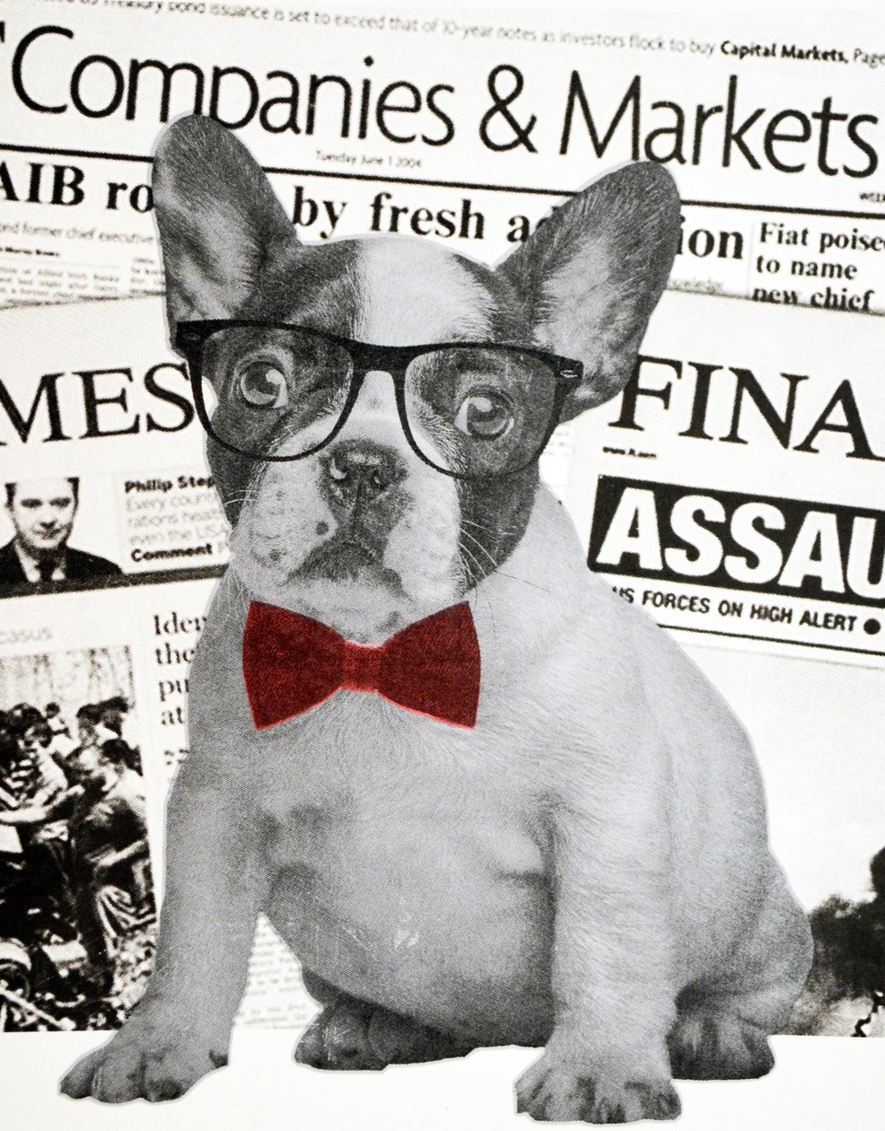Perro de Wall Street de Anne Storno