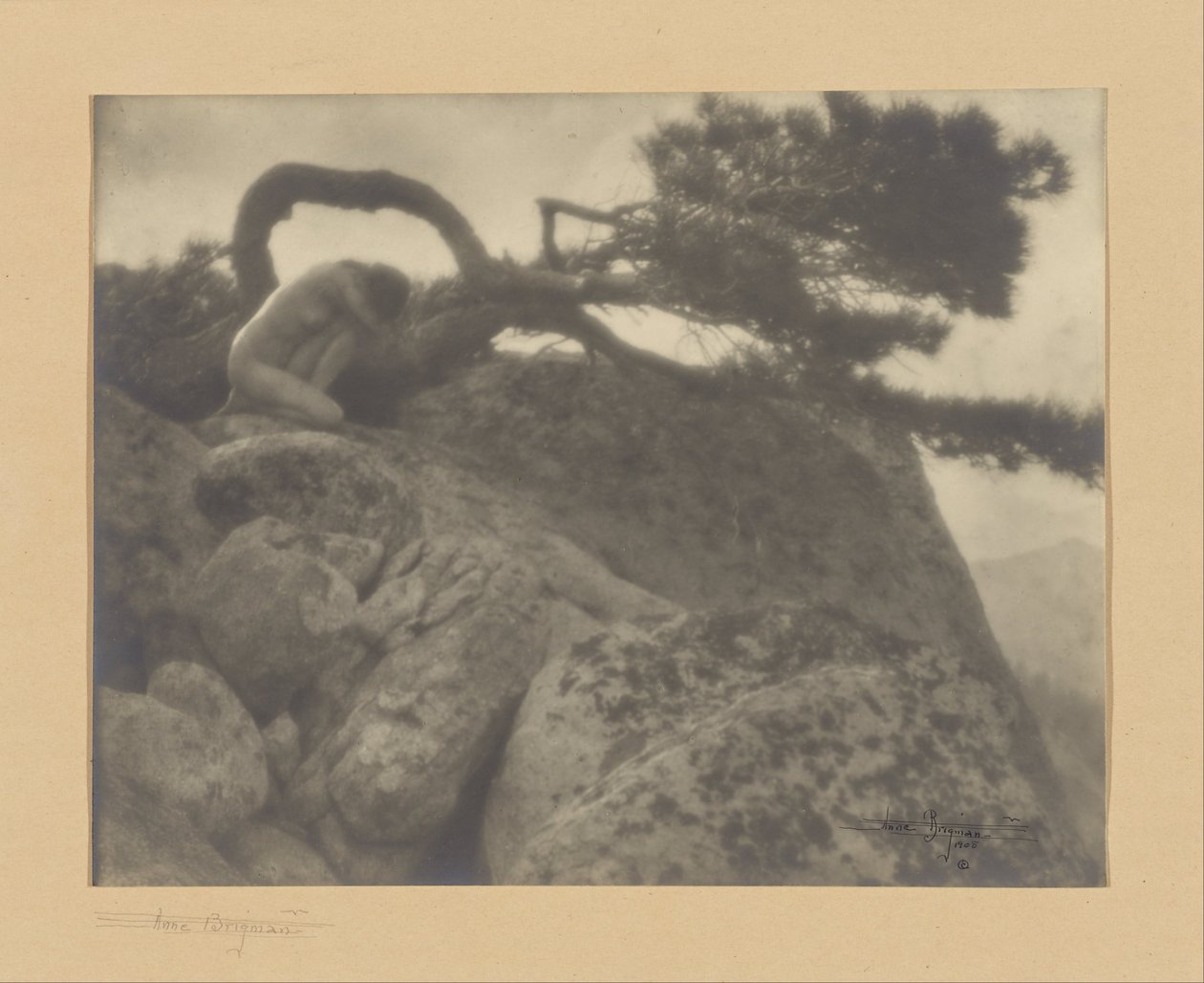 El Pino Solitario de Anne W. Brigman