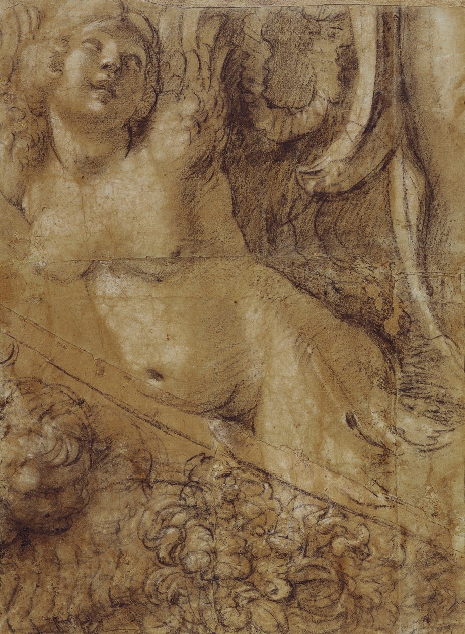 Cartón Sirena de Annibale Carracci