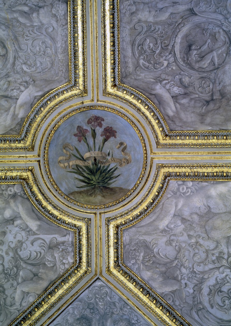 Decoración floral del techo, del 