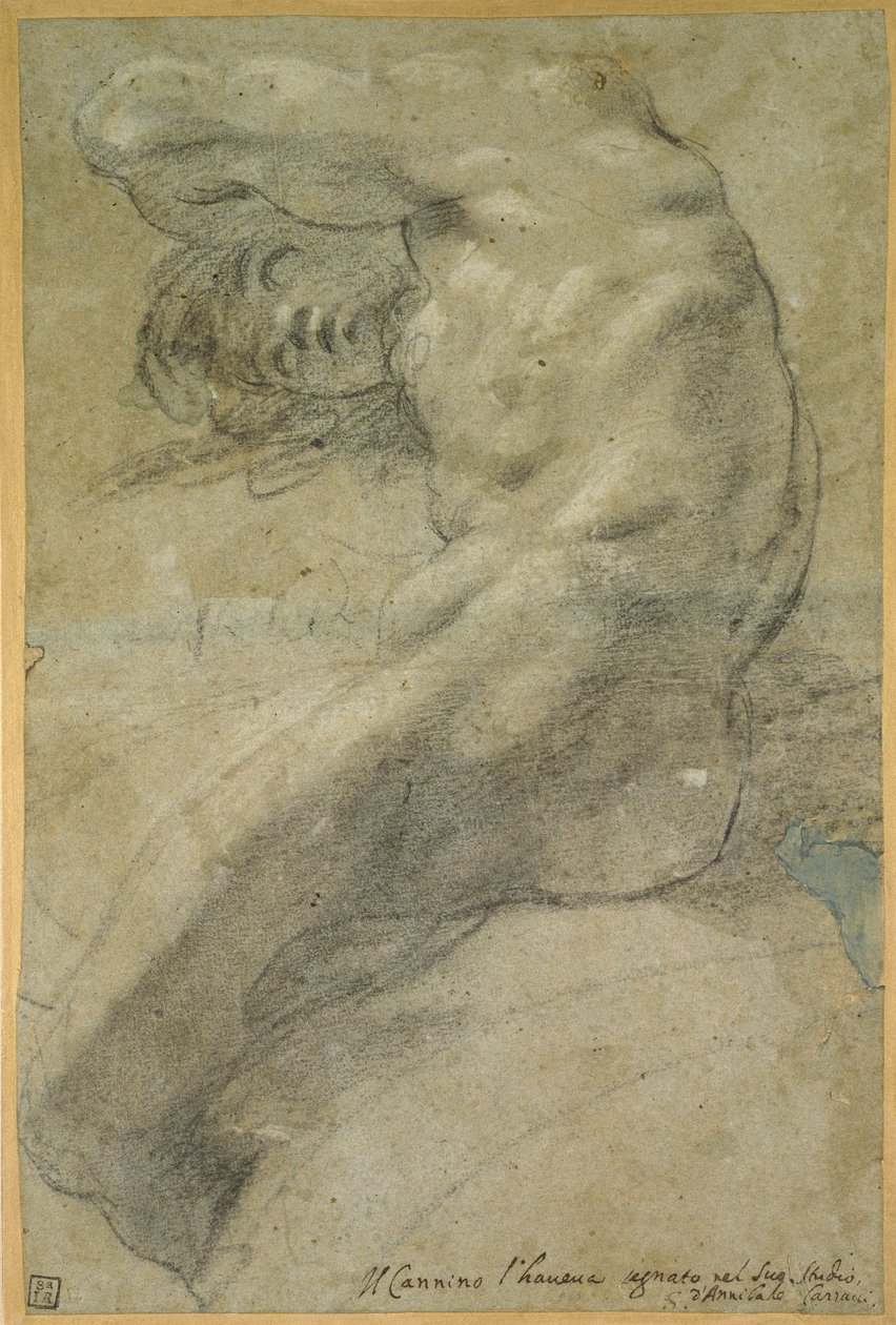 Estudio de un hombre desnudo de Annibale Carracci