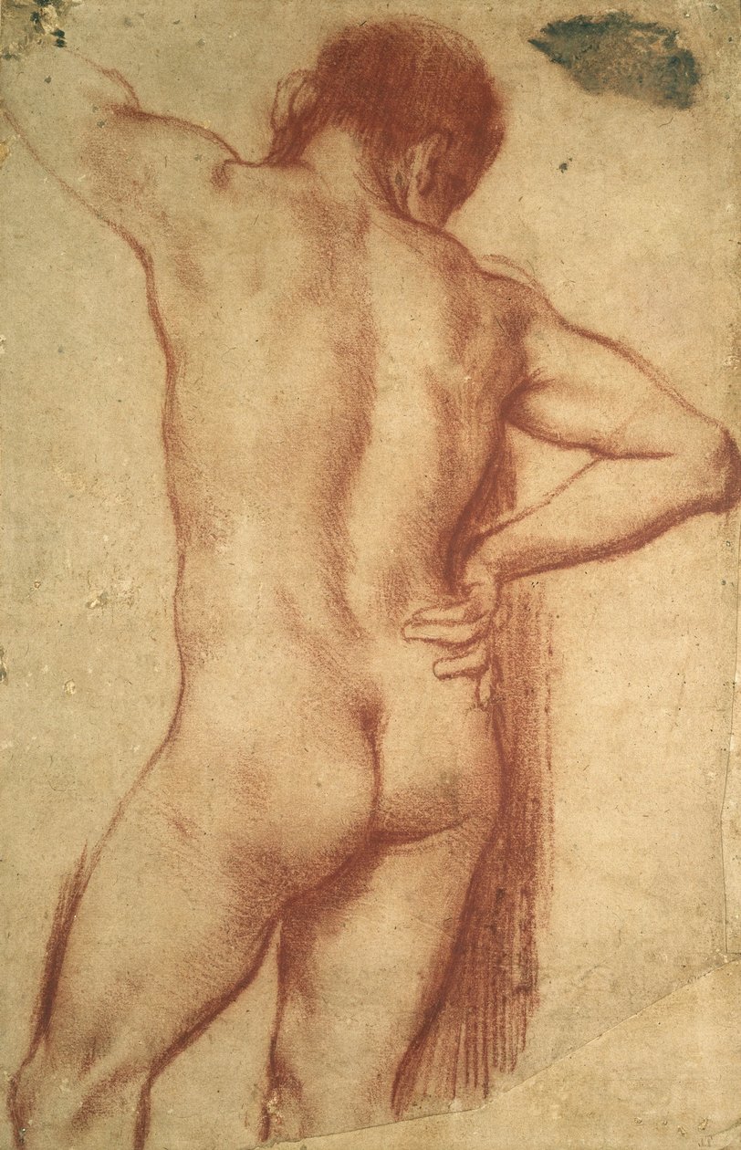 Estudio de un hombre desnudo de Annibale Carracci