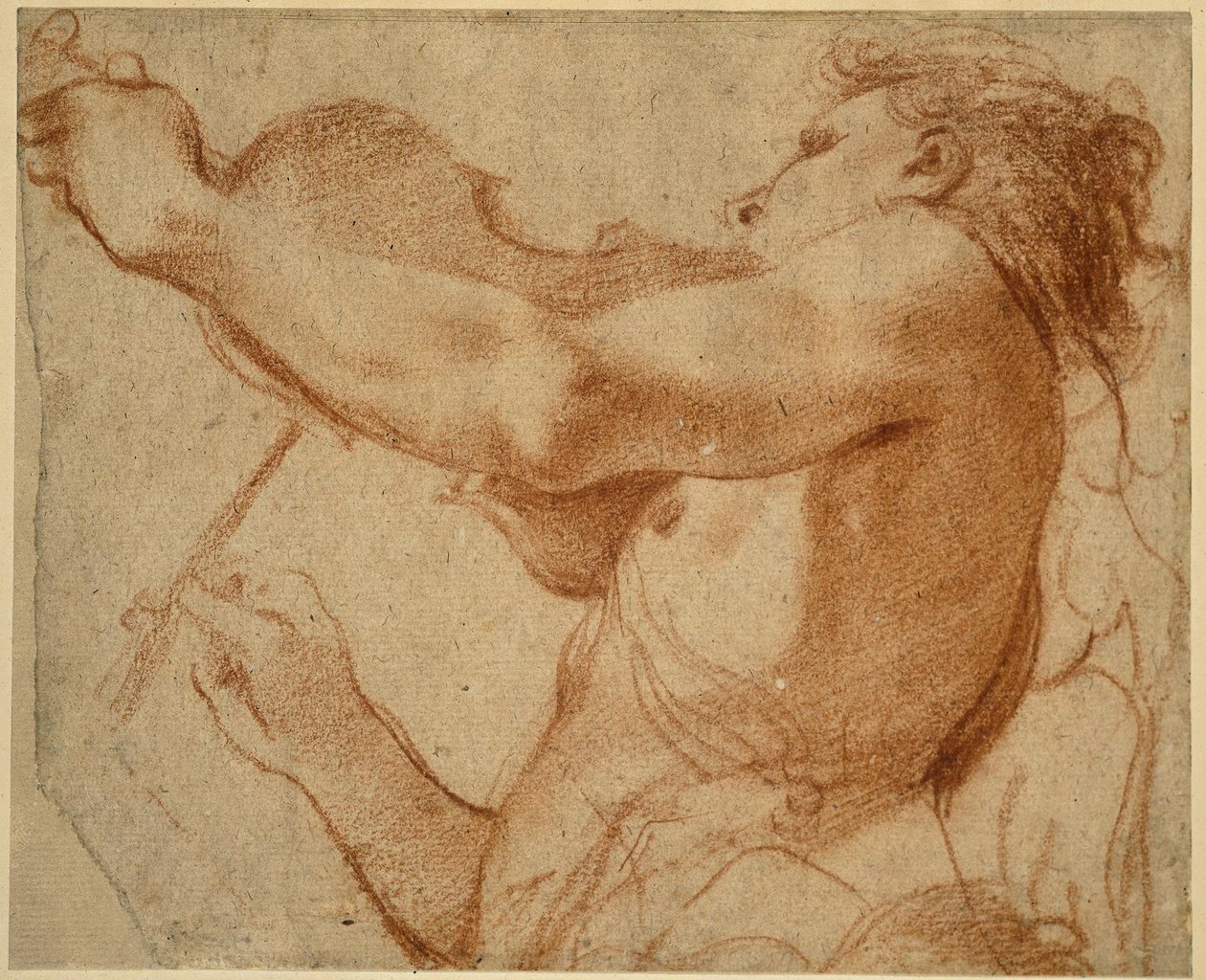 Un ángel tocando el violín de Annibale Carracci