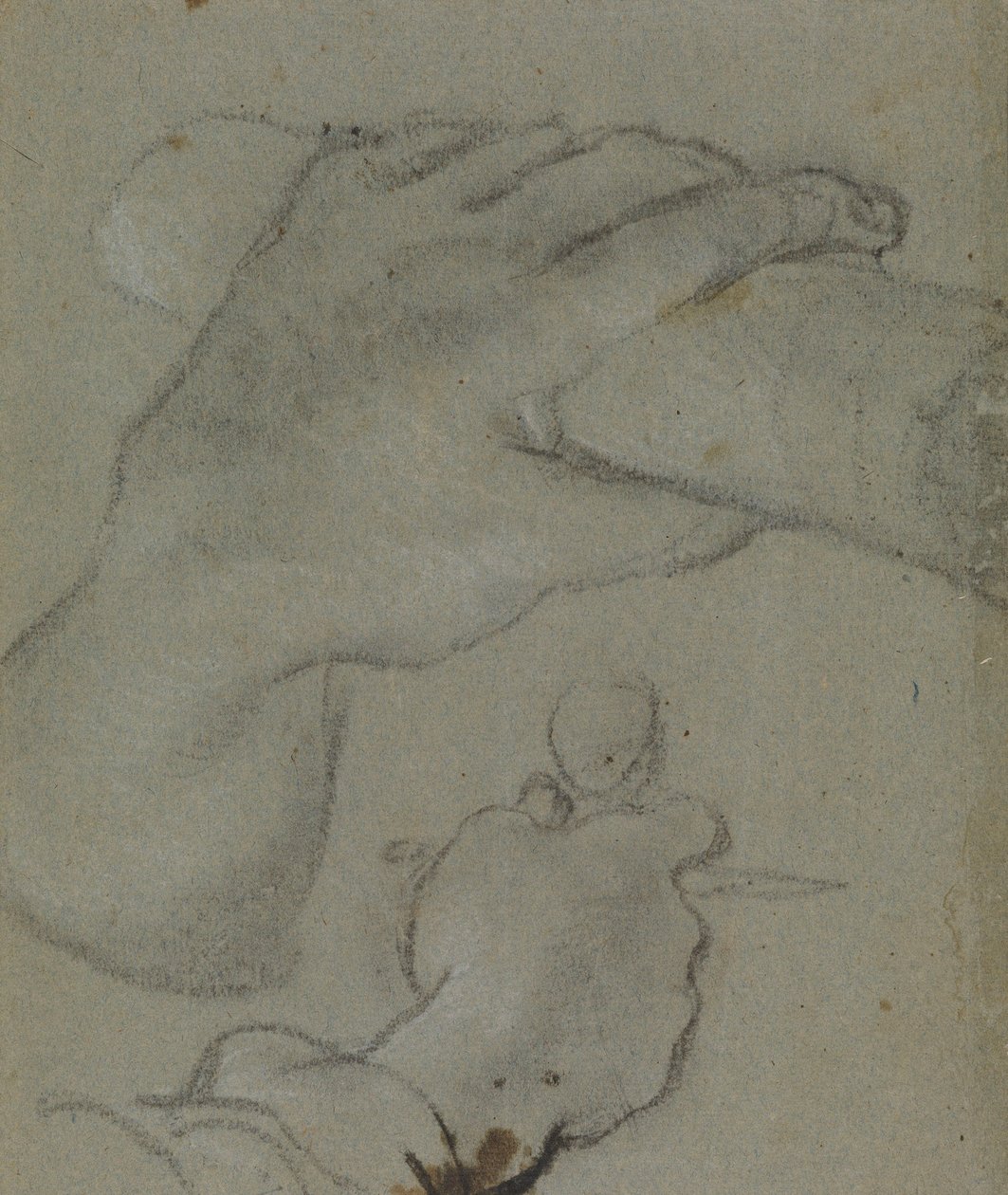 Carracci - v estudio para las manos de San Juan el E, RCIN 902115 de Annibale Carracci
