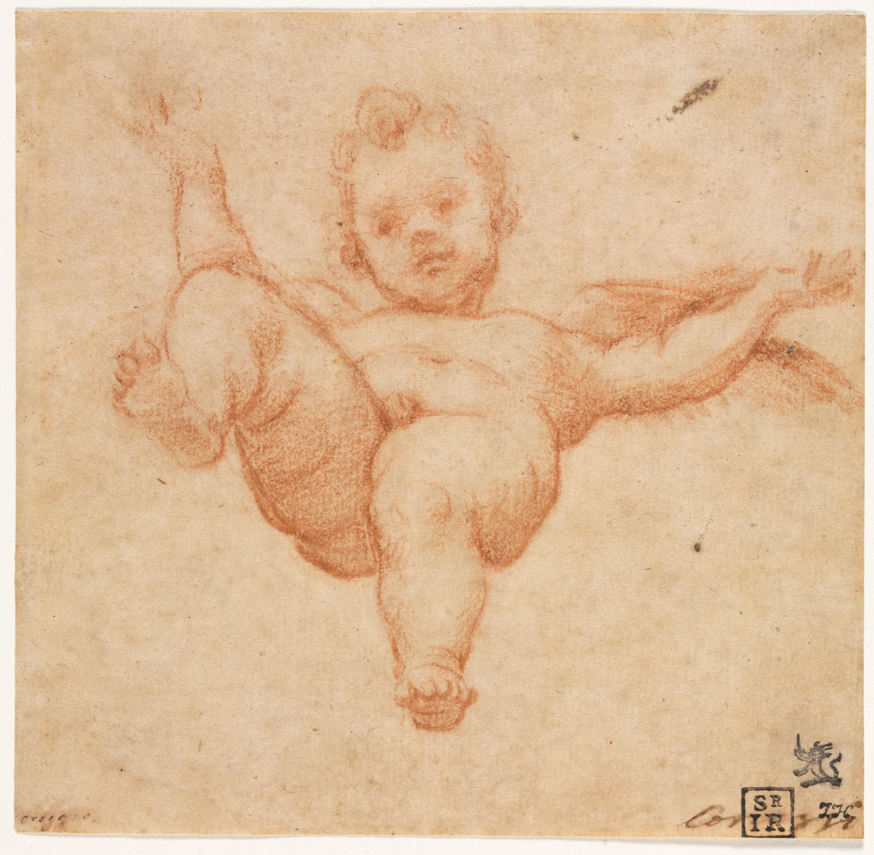 Fliegender Amor de Annibale Carracci