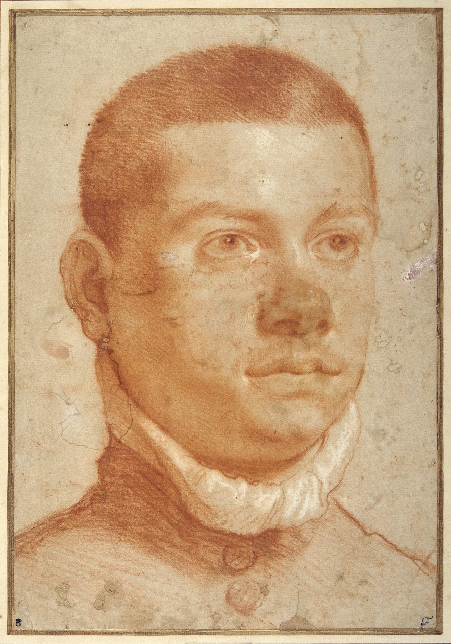 Retrato de un joven (tiza roja) de Annibale Carracci
