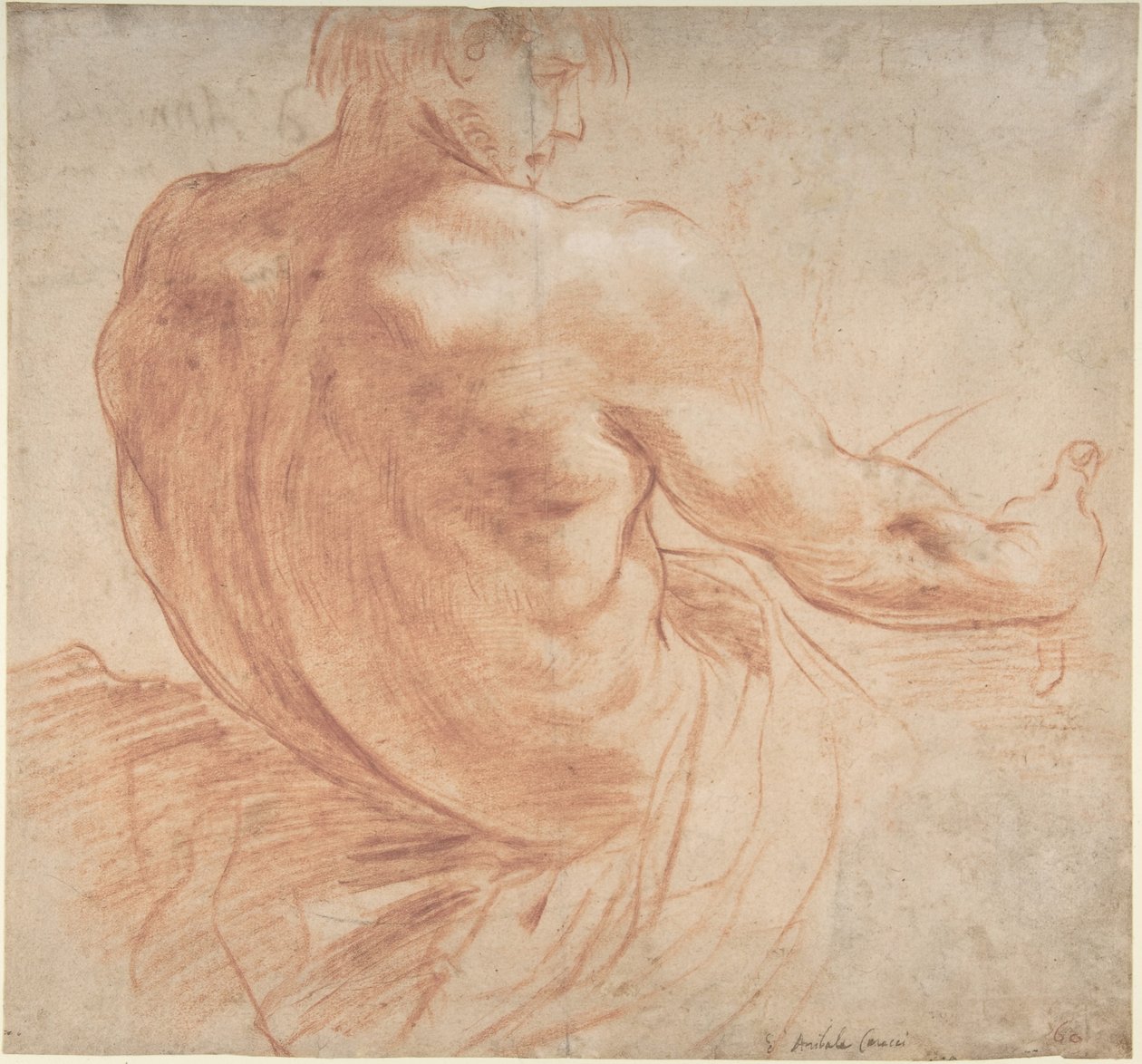 Joven sentado de cara a la derecha, visto de espaldas de Annibale Carracci