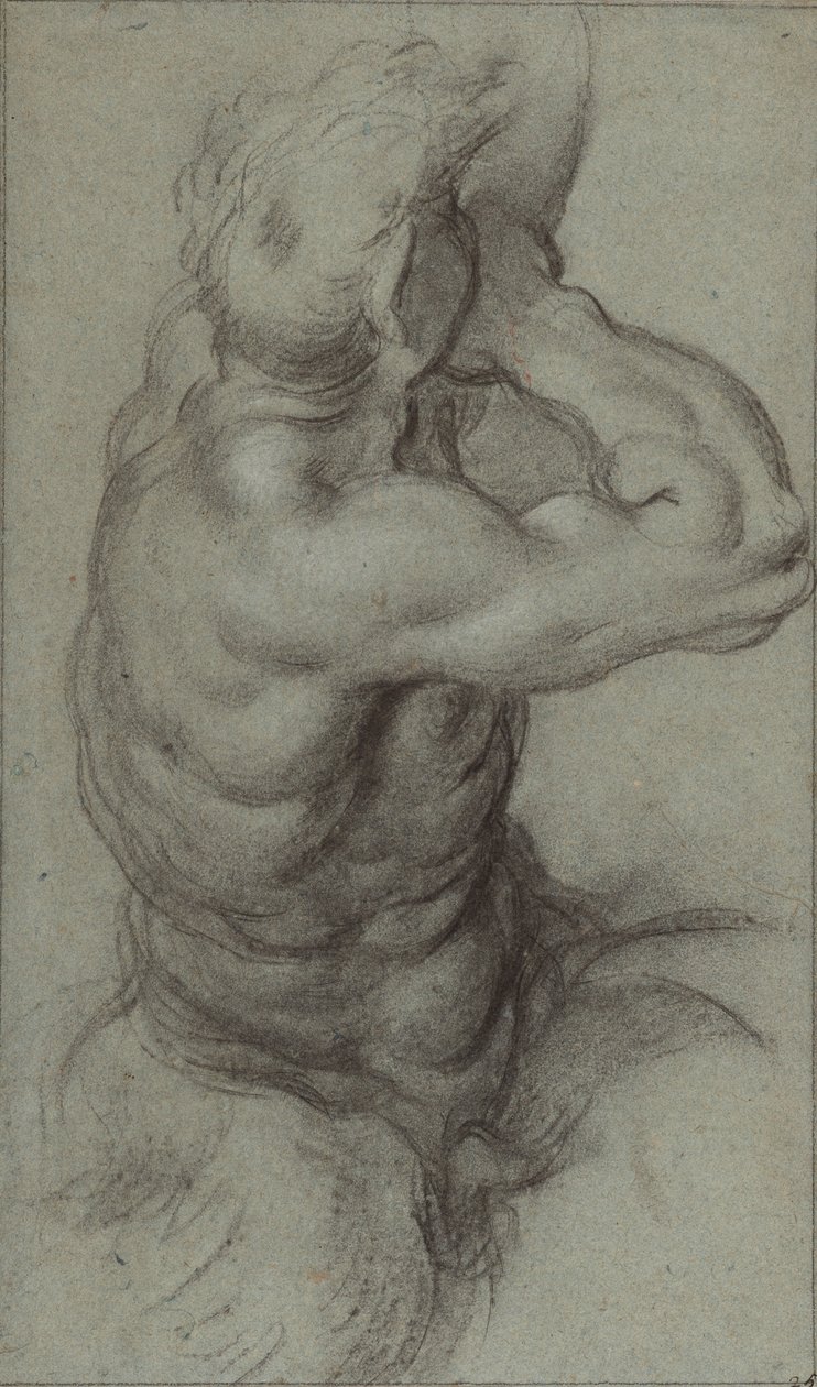 Estudio de Tritón soplando una caracola (recto); Estudio parcial de un brazo (verso) de Annibale Carracci