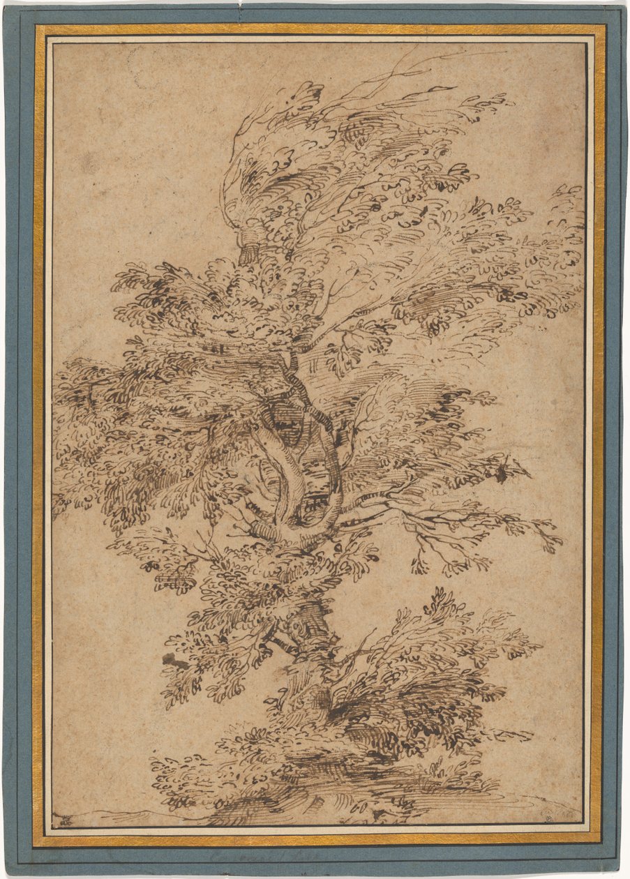 Studie eines Baumes de Annibale Carracci