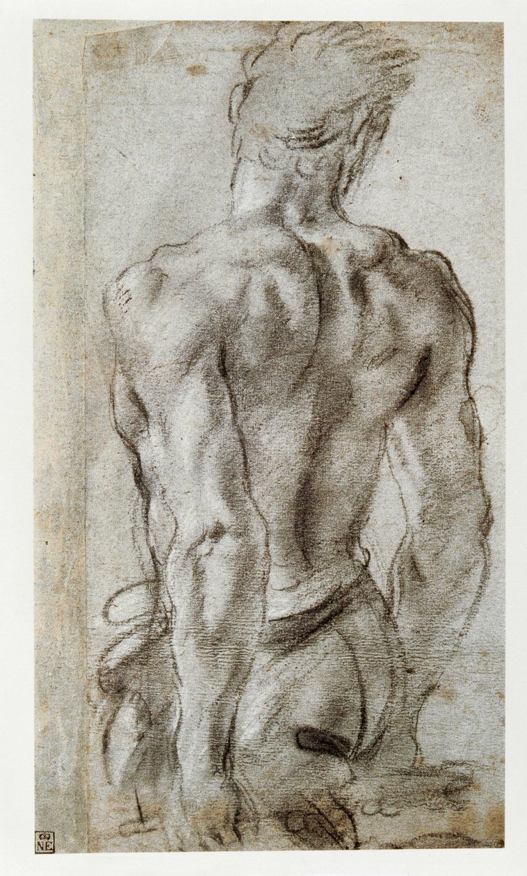 Estudio de una figura masculina ... de Annibale Carracci