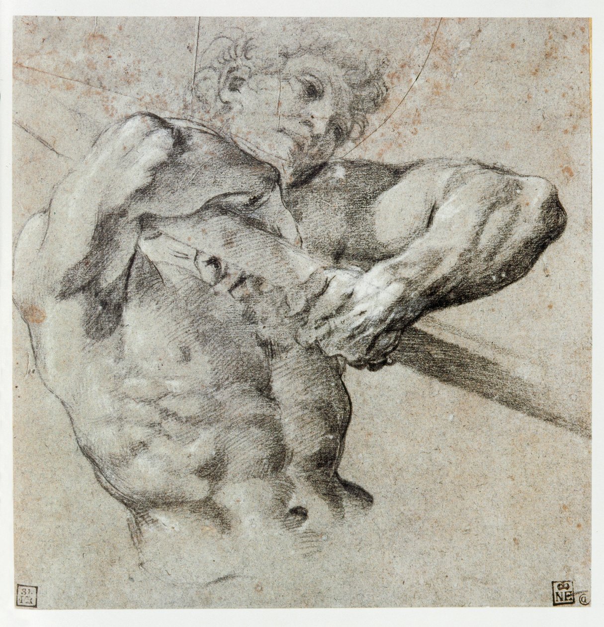 Estudio de una figura masculina ... de Annibale Carracci