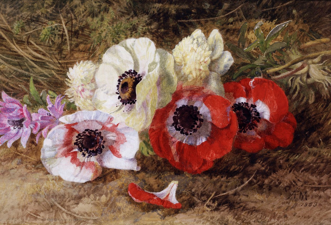 Anemones de Annie Feray Mutrie