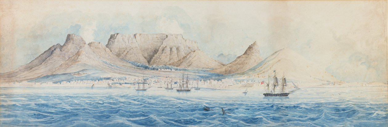 Vista de Table Bay, Escuela Colonial, principios del siglo XIX de Unbekannt Unbekannt