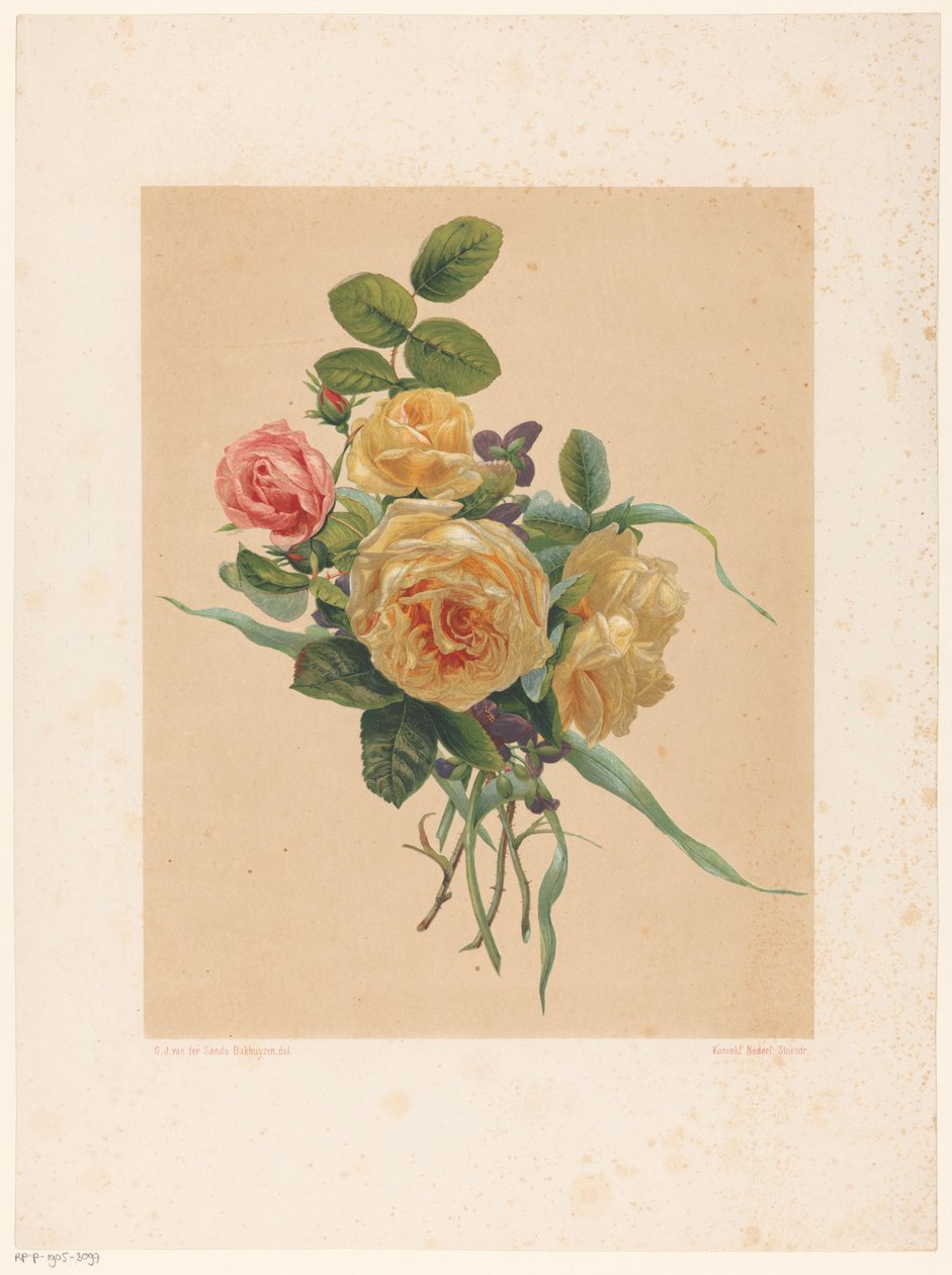 Manojo de rosas y violetas de Anonymous