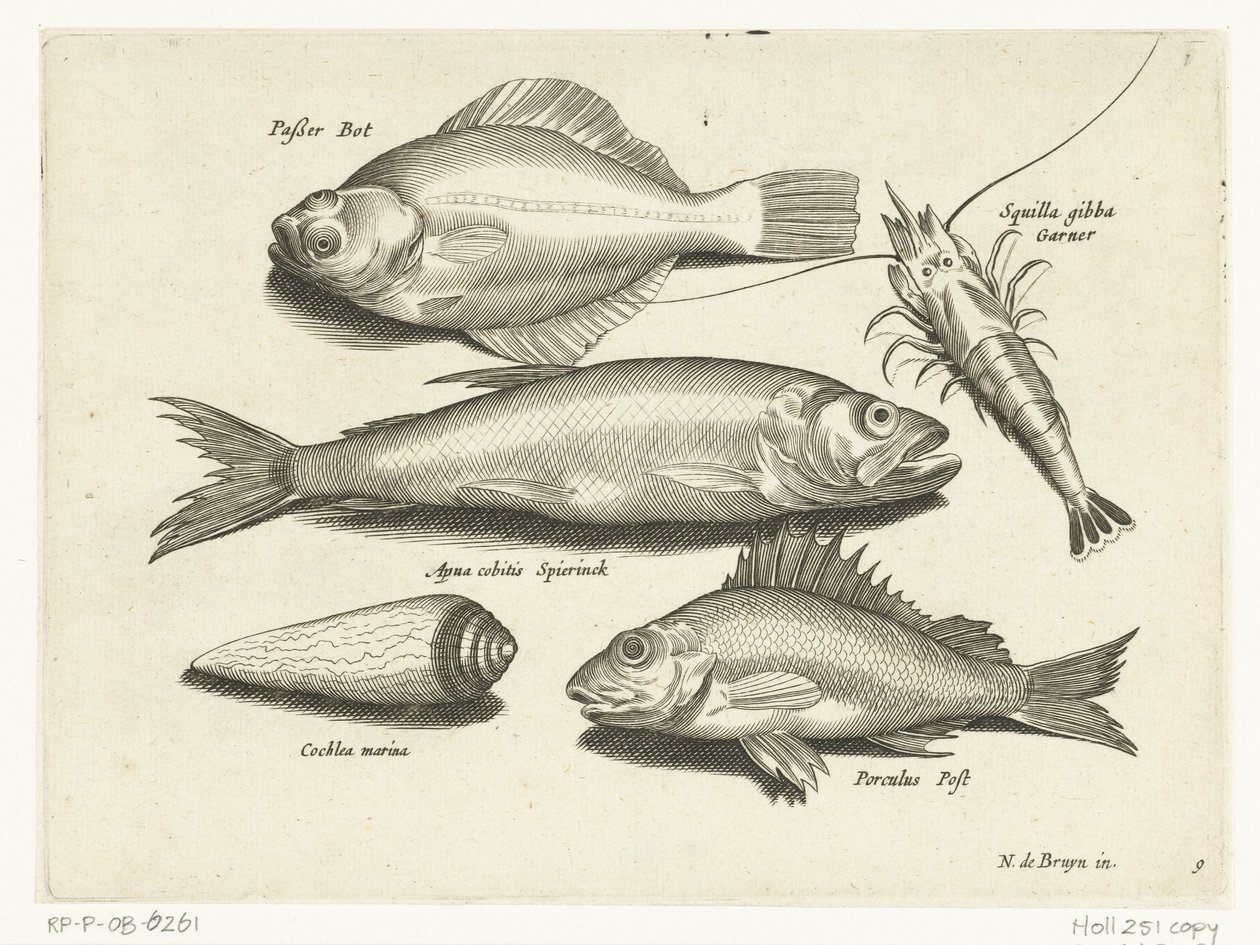 Platija, camarón, eperlano y pos
Libelivs varia Genera piscium complectens (título de la serie)
Peces de agua dulce, peces de mar, ranas, crustáceos y criaturas marinas (título de la serie) de Anonymous
