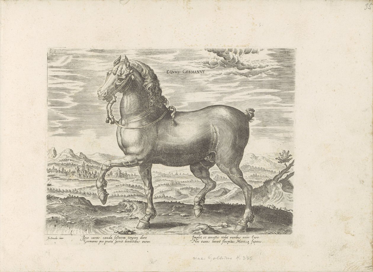 Duits paard Caballo alemán (título sobre objeto) Paardenrassen uit de Koninklijke stallen van Don Juan van Oostenrijk (título de la serie) Equile, en el que es el más noble de todos los tipos: un personaje distinguido de caballos de varias partes del mundo de Anonymous