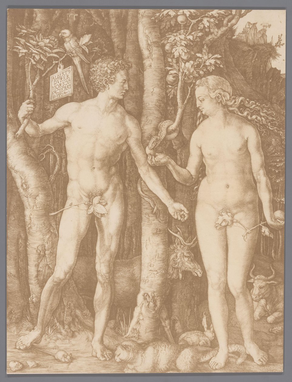 Reproducción fotográfica del grabado Adán y Eva de Albrecht Dürer de Anonymous
