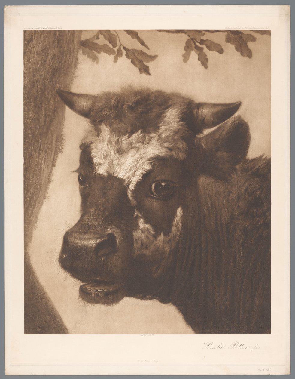 Reproducción fotográfica del detalle de la pintura El toro de Paulus Potter, coll. Mauritshuis 1902 - 15. / Königl. Museo de La Haya (título de la serie) de Anonymous